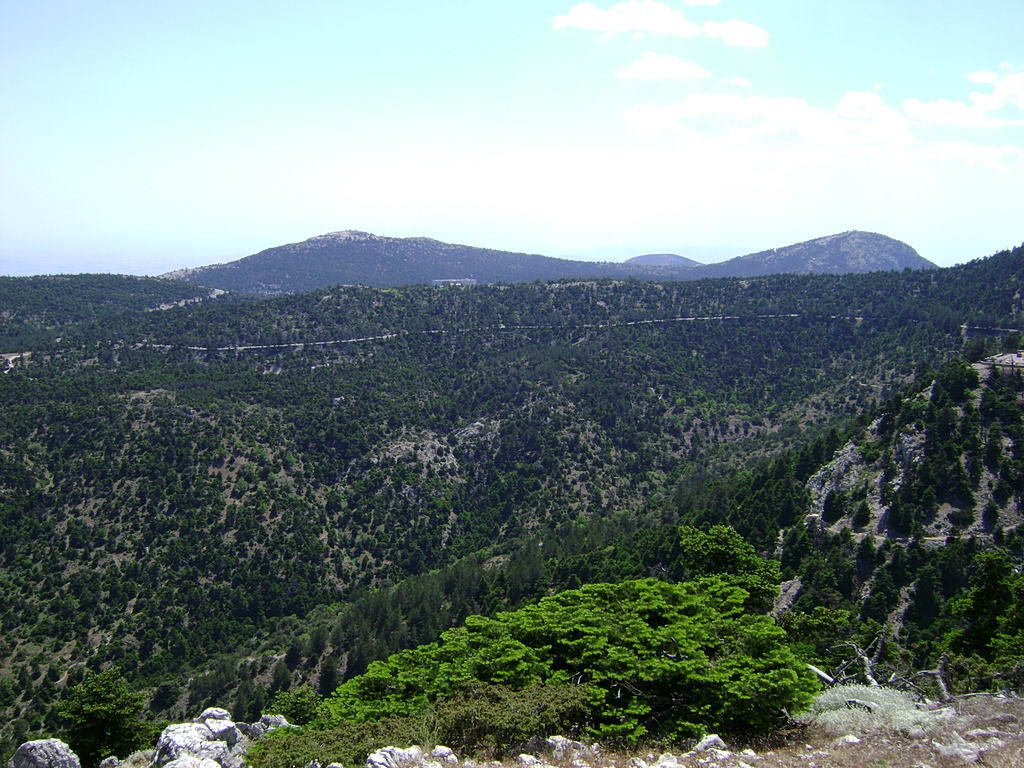 Artistic Expression Meets Hiking on Mount Parnitha