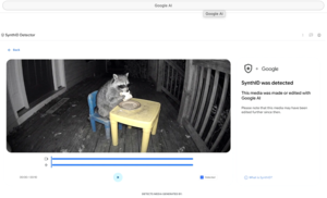 Google Extends AI Detector Access to Everyone