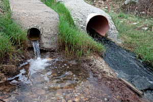 Bacteria Associated with Cholera Found in Greece’s Asopos River
