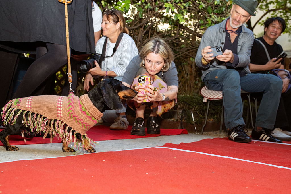 You’ve Heard of Fashion Week. This Is Dog Week.