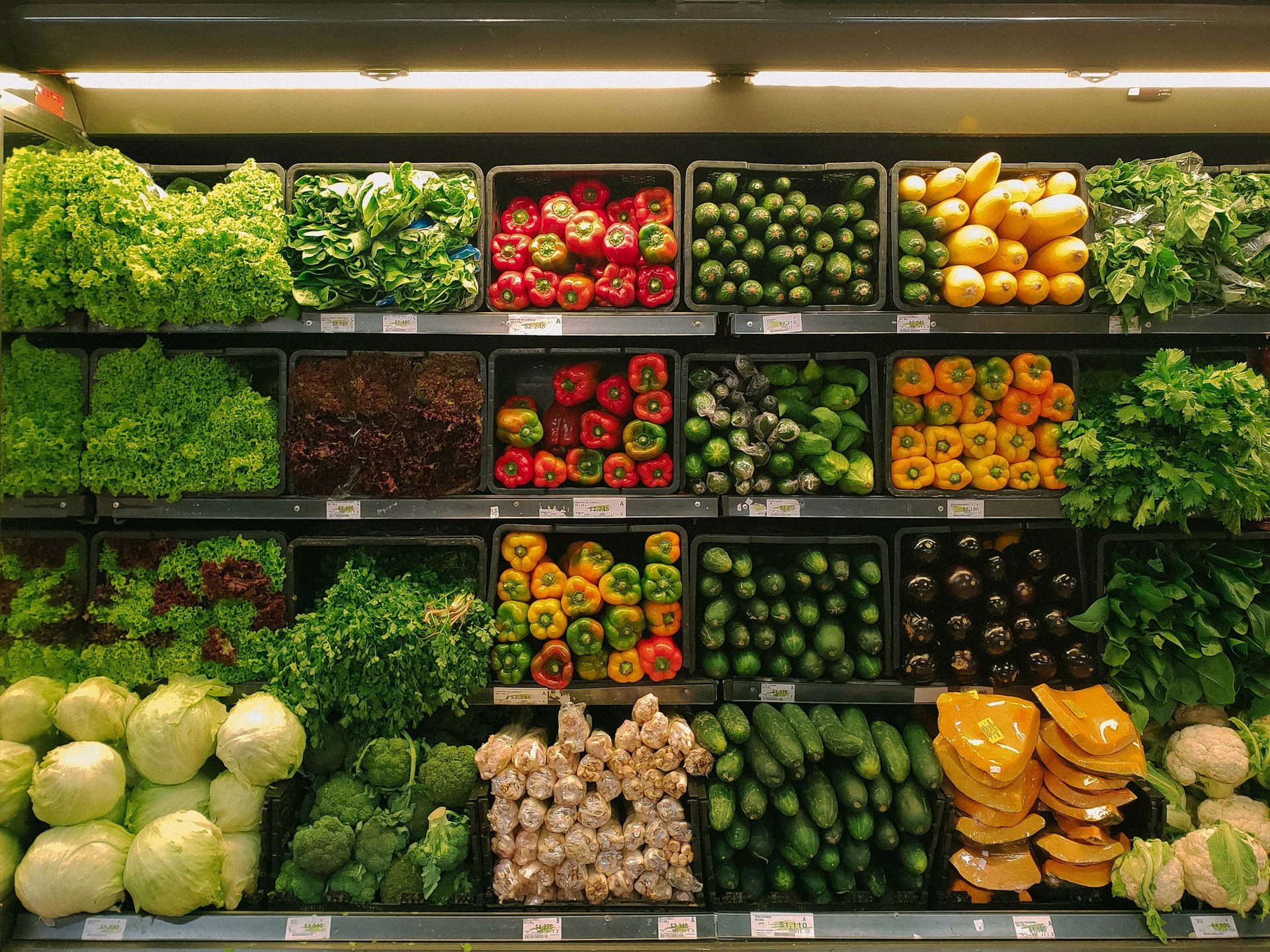 World Food Day 2026: Why Are Billions Still Going Hungry?
