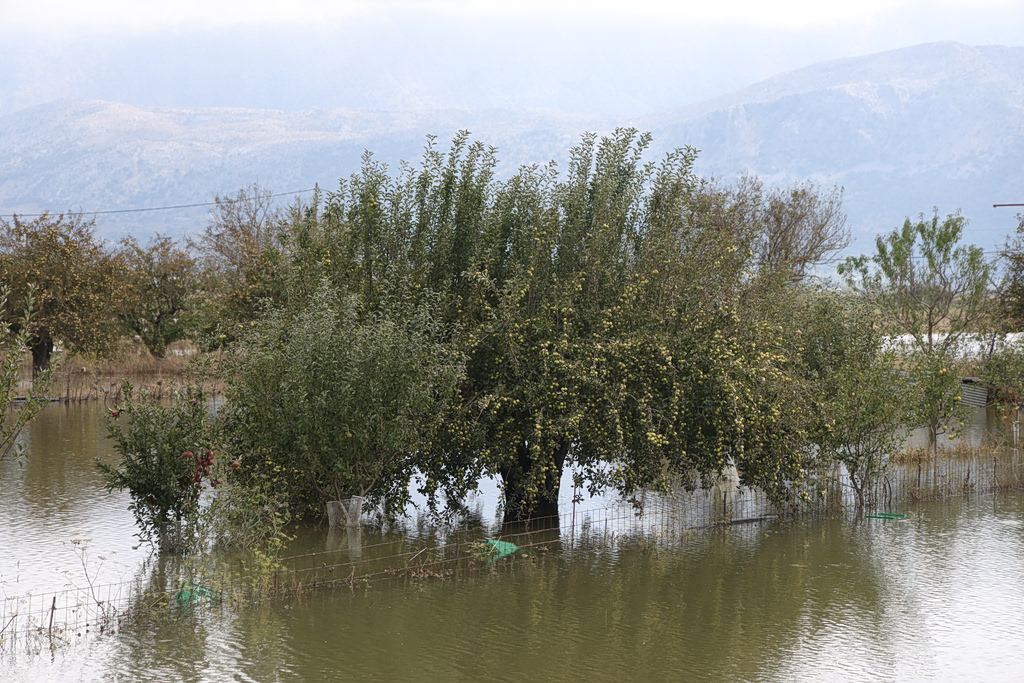 Floods Destroy Up to 70% of Crops on Crete Plateau
