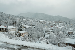 A Central Greece Christmas Park Opens With Wizard of Oz Theme