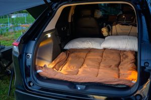Greek Man, 74, Lives in His Car After Eviction