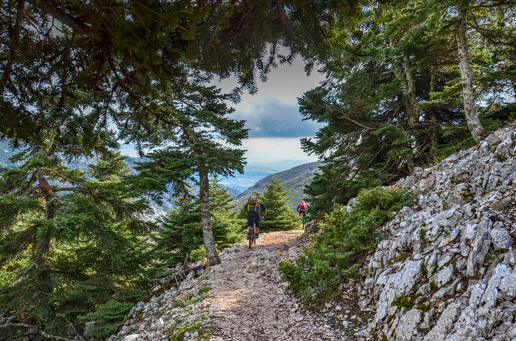 Greece Opens Accessible Forest Trail on Mount Parnitha