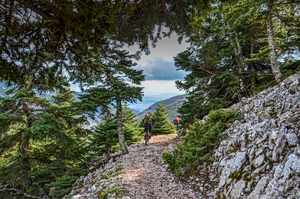 Greece Opens Accessible Forest Trail on Mount Parnitha