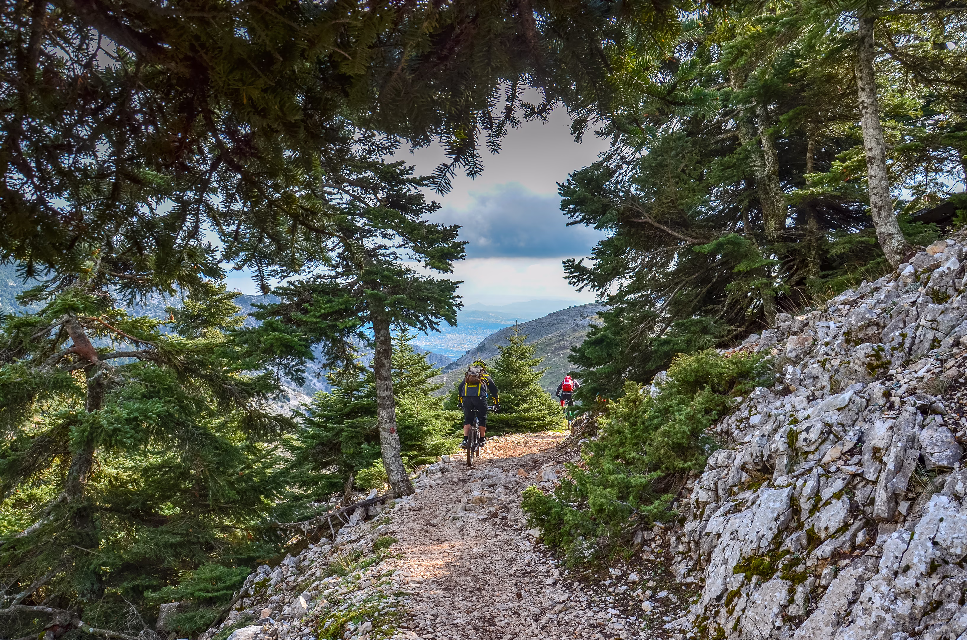 Greece Opens Accessible Forest Trail on Mount Parnitha