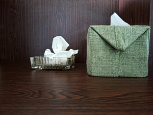How Smoking Weakens the Immune System Against Flu